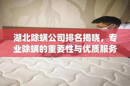 湖北除螨公司排名揭曉，專業(yè)除螨的重要性與優(yōu)質(zhì)服務商一覽