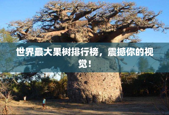 世界最大果樹排行榜，震撼你的視覺！
