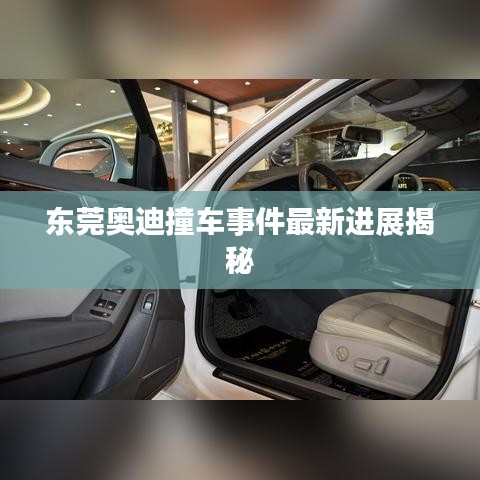 東莞奧迪撞車事件最新進展揭秘