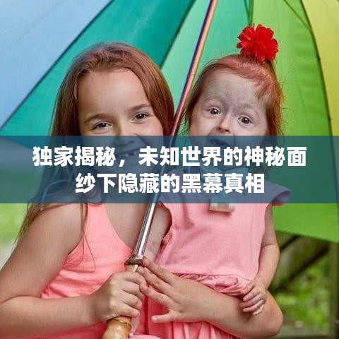 獨家揭秘，未知世界的神秘面紗下隱藏的黑幕真相