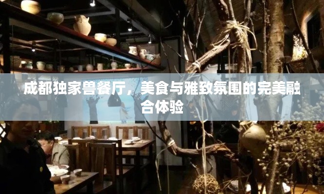 成都獨家獸餐廳，美食與雅致氛圍的完美融合體驗