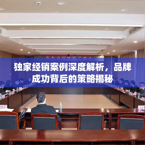 獨家經銷案例深度解析，品牌成功背后的策略揭秘