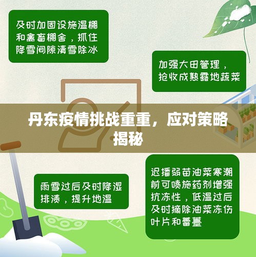 丹東疫情挑戰(zhàn)重重，應對策略揭秘