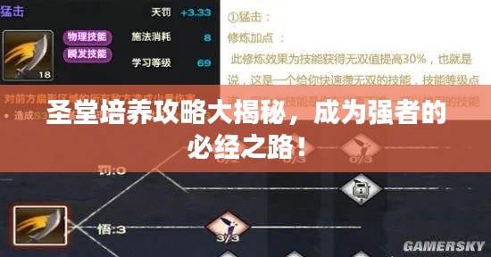 圣堂培養攻略大揭秘，成為強者的必經之路！