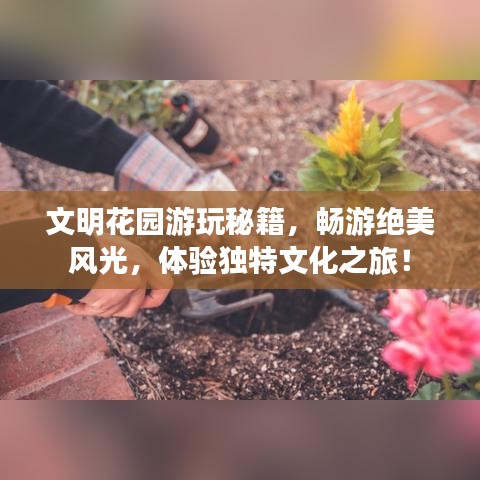 文明花園游玩秘籍，暢游絕美風光，體驗獨特文化之旅！