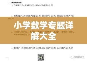小學數學專題詳解大全