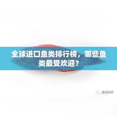 全球進口魚類排行榜，哪些魚類最受歡迎？