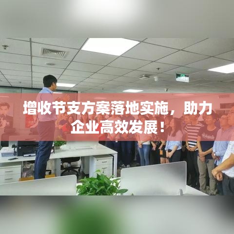 增收節支方案落地實施，助力企業高效發展！