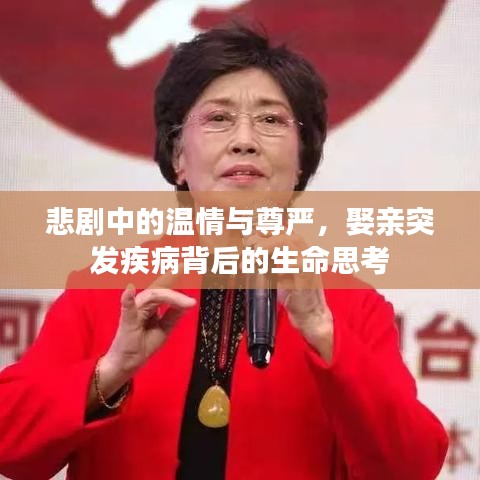悲劇中的溫情與尊嚴(yán)，娶親突發(fā)疾病背后的生命思考