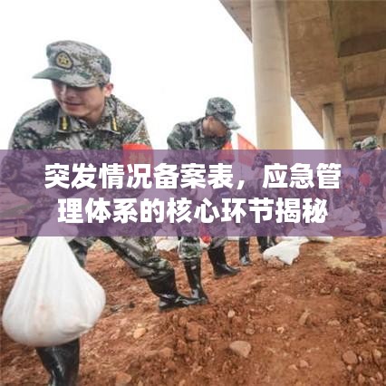 突發情況備案表，應急管理體系的核心環節揭秘