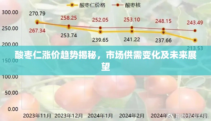 酸棗仁漲價(jià)趨勢(shì)揭秘，市場(chǎng)供需變化及未來(lái)展望