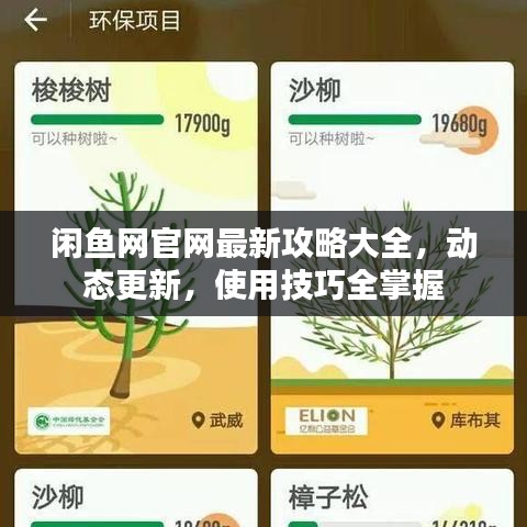 閑魚網(wǎng)官網(wǎng)最新攻略大全，動(dòng)態(tài)更新，使用技巧全掌握