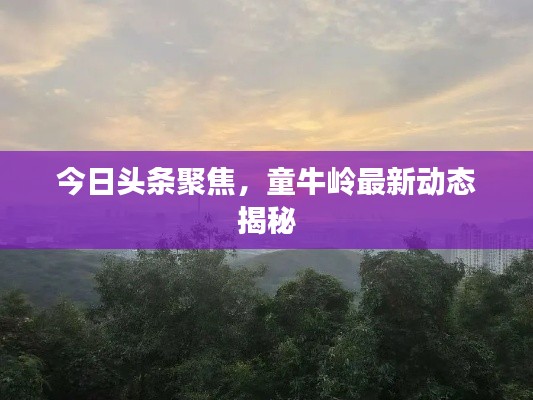 今日頭條聚焦，童牛嶺最新動態揭秘