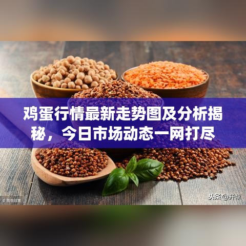 雞蛋行情最新走勢(shì)圖及分析揭秘，今日市場(chǎng)動(dòng)態(tài)一網(wǎng)打盡