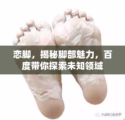戀腳，揭秘腳部魅力，百度帶你探索未知領(lǐng)域