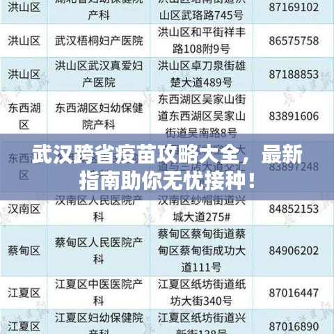 武漢跨省疫苗攻略大全，最新指南助你無(wú)憂接種！