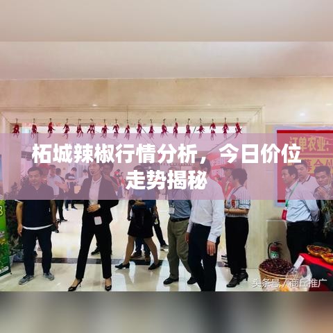 質而不俚