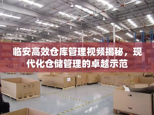 臨安高效倉庫管理視頻揭秘，現代化倉儲管理的卓越示范