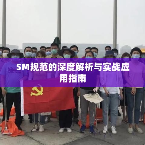 SM規(guī)范的深度解析與實(shí)戰(zhàn)應(yīng)用指南