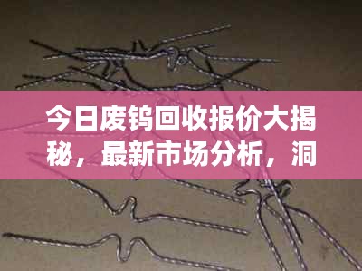 今日廢鎢回收報價大揭秘，最新市場分析，洞悉市場動態！