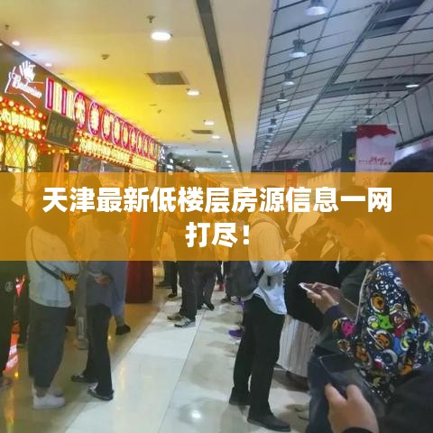 天津最新低樓層房源信息一網(wǎng)打盡！