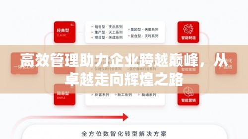 高效管理助力企業跨越巔峰，從卓越走向輝煌之路