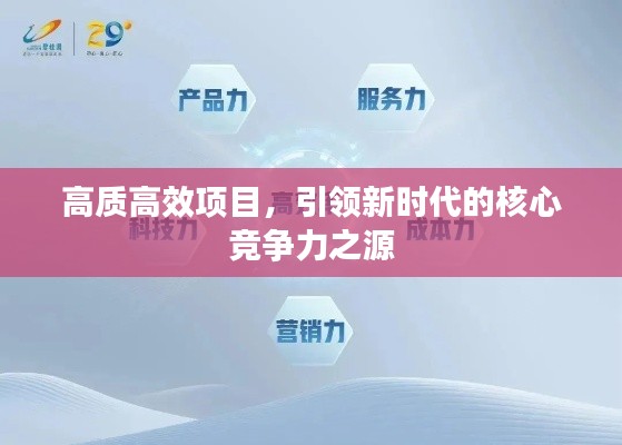高質高效項目，引領新時代的核心競爭力之源