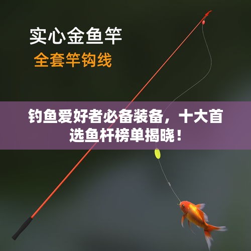 釣魚愛好者必備裝備，十大首選魚桿榜單揭曉！