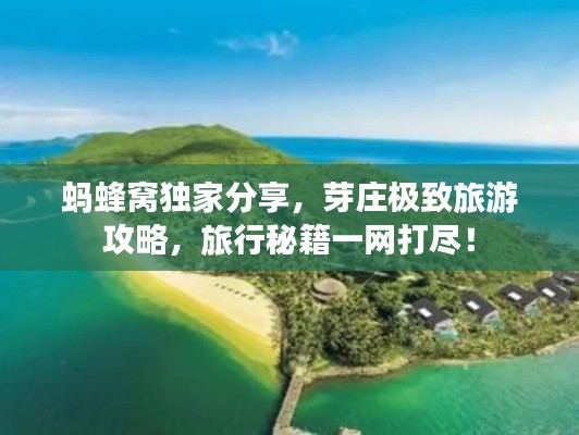 螞蜂窩獨家分享，芽莊極致旅游攻略，旅行秘籍一網打盡！