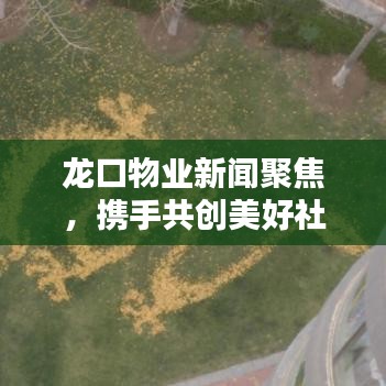 龍口物業新聞聚焦，攜手共創美好社區未來
