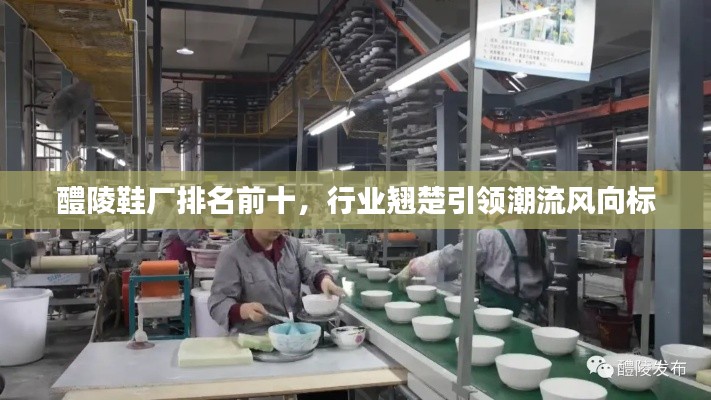 醴陵鞋廠排名前十，行業翹楚引領潮流風向標