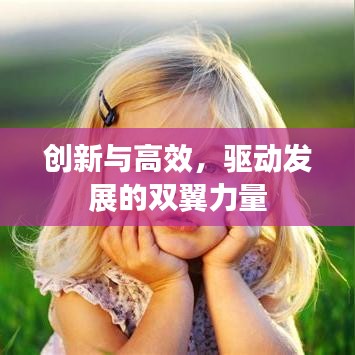 創新與高效，驅動發展的雙翼力量