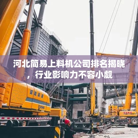 河北簡易上料機公司排名揭曉，行業(yè)影響力不容小覷