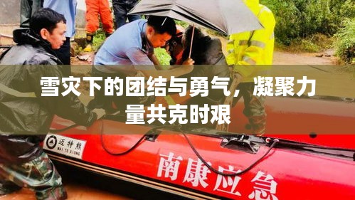 雪災下的團結與勇氣，凝聚力量共克時艱