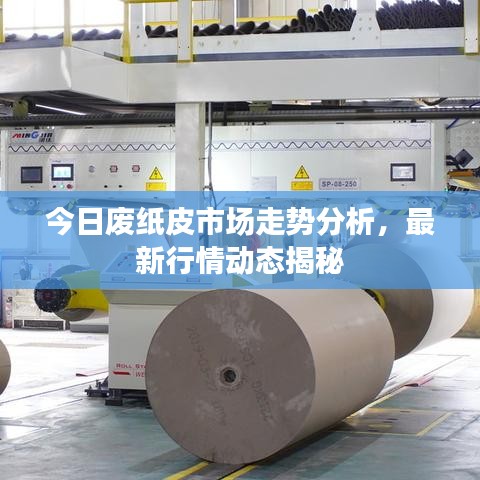今日廢紙皮市場走勢分析，最新行情動態揭秘