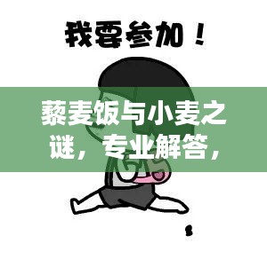 藜麥飯與小麥之謎，專業(yè)解答，百度知識一網打盡