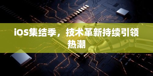 貴而賤目