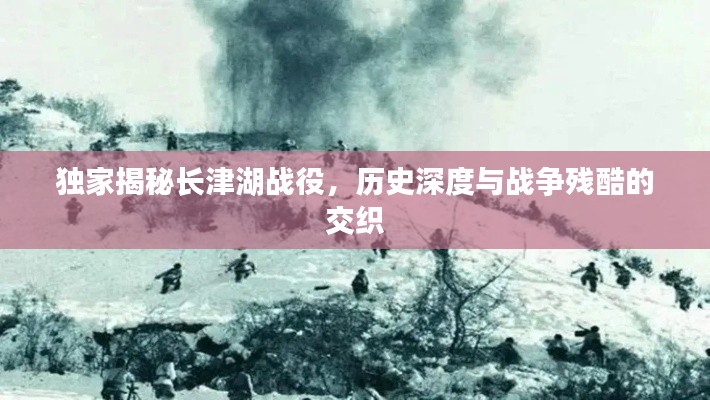 獨家揭秘長津湖戰役，歷史深度與戰爭殘酷的交織