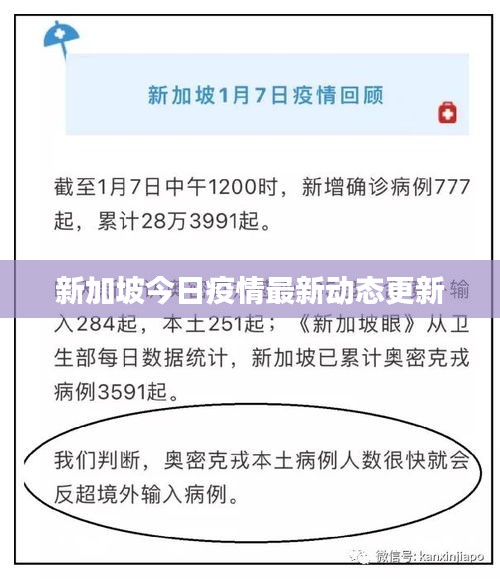 新加坡今日疫情最新動態更新