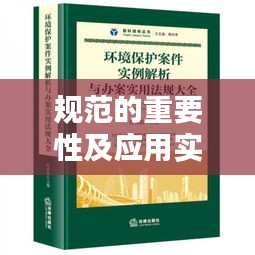 規范的重要性及應用實例解析