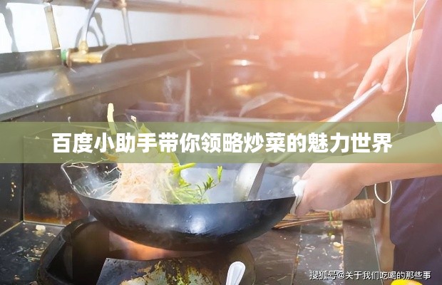 百度小助手帶你領(lǐng)略炒菜的魅力世界