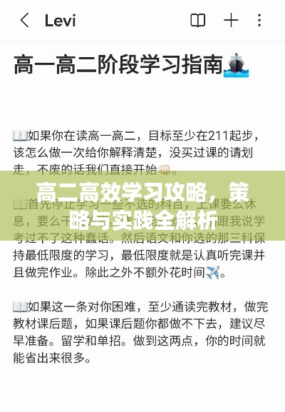 高二高效學(xué)習(xí)攻略，策略與實(shí)踐全解析