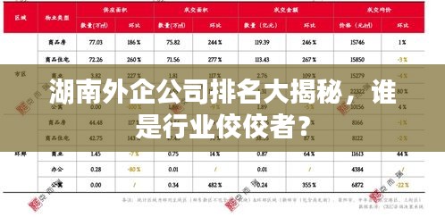 湖南外企公司排名大揭秘，誰是行業佼佼者？