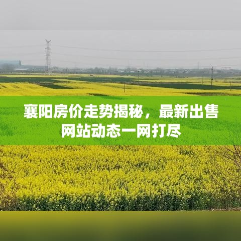 襄陽房價走勢揭秘，最新出售網站動態一網打盡