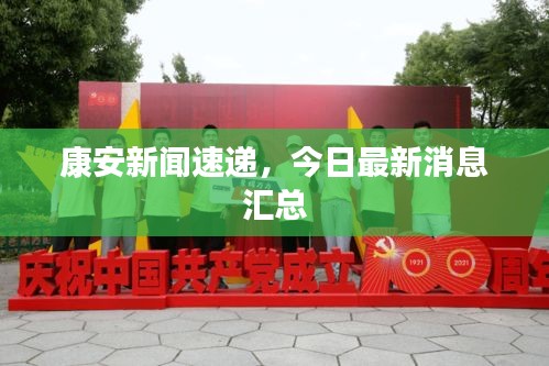康安新聞速遞，今日最新消息匯總