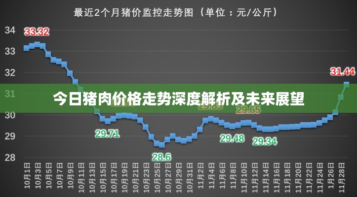 今日豬肉價格走勢深度解析及未來展望