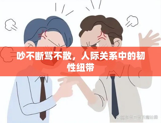 吵不斷罵不散，人際關系中的韌性紐帶