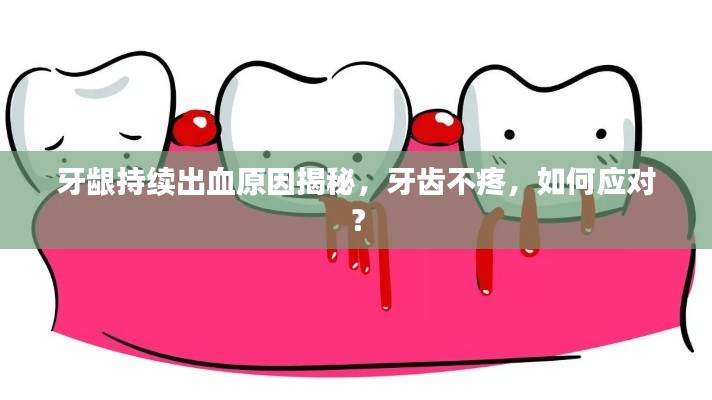 牙齦持續出血原因揭秘，牙齒不疼，如何應對？