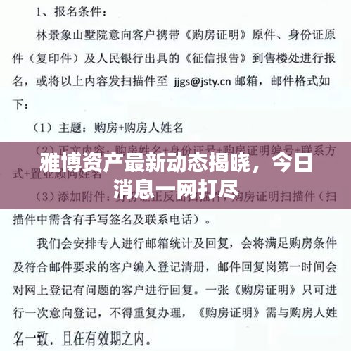 雅博資產最新動態揭曉，今日消息一網打盡