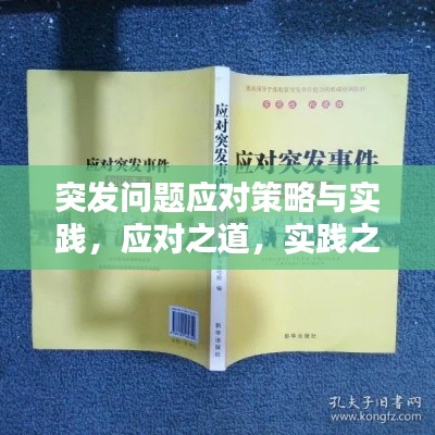 突發問題應對策略與實踐，應對之道，實踐之法